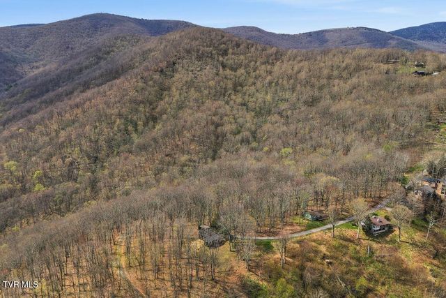 195 Log Cabin Lane, Roan Mountain, TN 37687