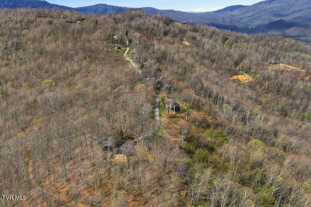 195 Log Cabin Lane, Roan Mountain, TN 37687