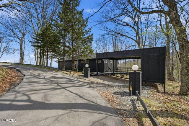 195 Log Cabin Lane, Roan Mountain, TN 37687
