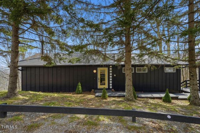 195 Log Cabin Lane, Roan Mountain, TN 37687