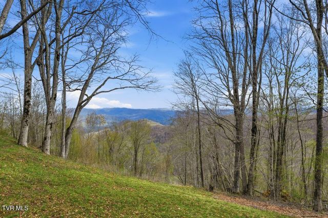 195 Log Cabin Lane, Roan Mountain, TN 37687