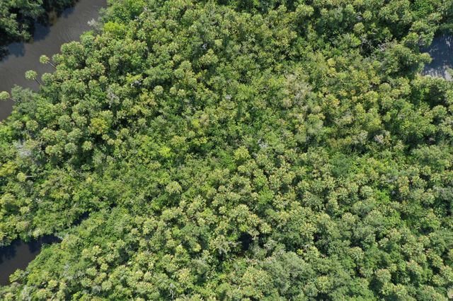 1909 Old River Road, Fort Pierce, FL 34945