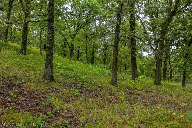 TBD Holt Summit Place, Van Buren, AR 72956