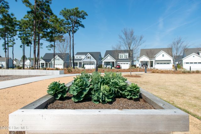 3410 Oyster Tabby Drive, Wilmington, NC 28412