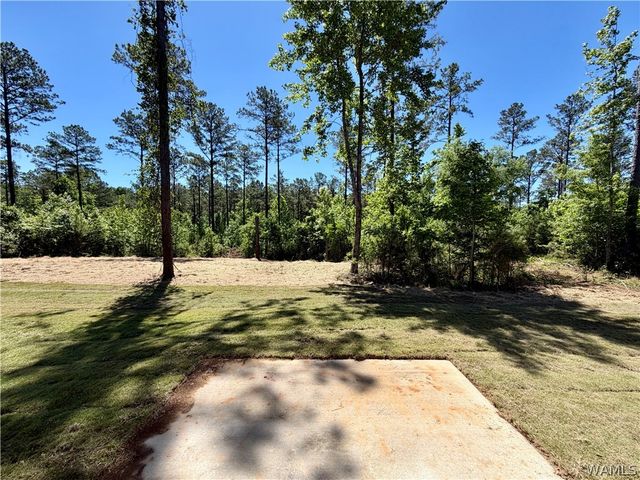 11946 Meadowview, Northport, AL 35475