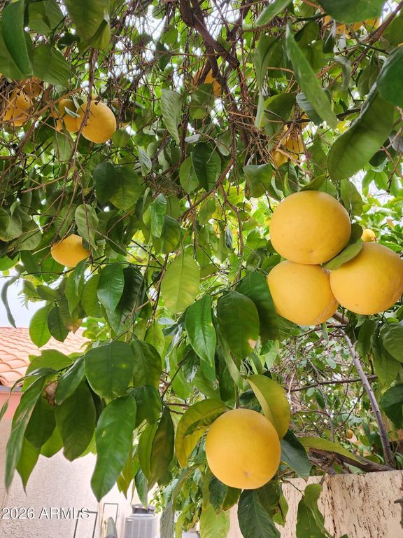 Image 46 of property listing at 10508 N 97TH Street, Scottsdale, AZ 85258