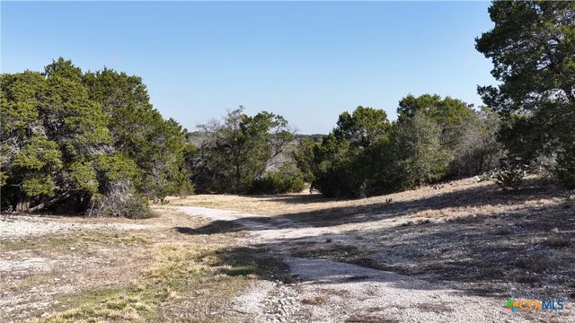 Lot 30 Cr 252, Bertram, TX 78605