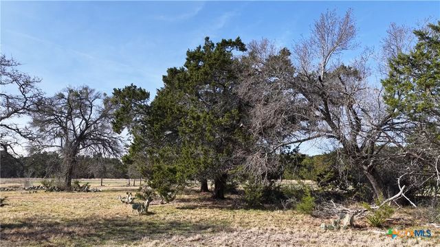 Lot 30 Cr 252, Bertram, TX 78605