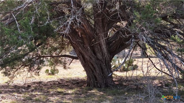 Lot 30 Cr 252, Bertram, TX 78605