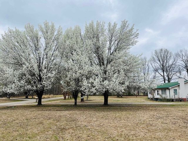 275 FRITTON SPUR RD, Middleton, TN 38052