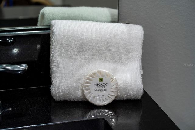 4402 LE REVE COURT, Kissimmee, FL 34746