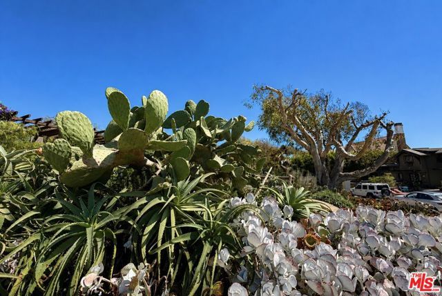 7007 Birdview Avenue, Malibu, CA 90265