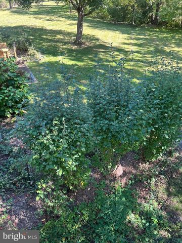 3889 TUSICO PL, Fairfax, VA 22030