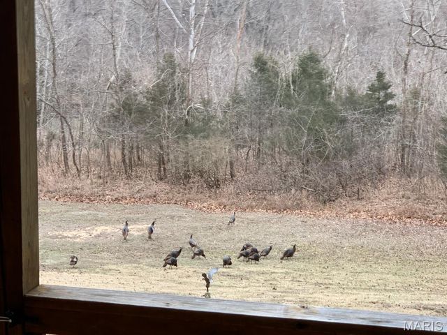 2300 County Road 352, Lesterville, MO 63654