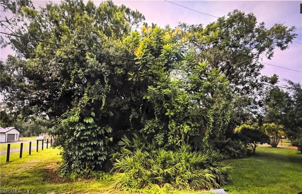 3890 27TH AVE SW, NAPLES, FL 34117 — photo 2
