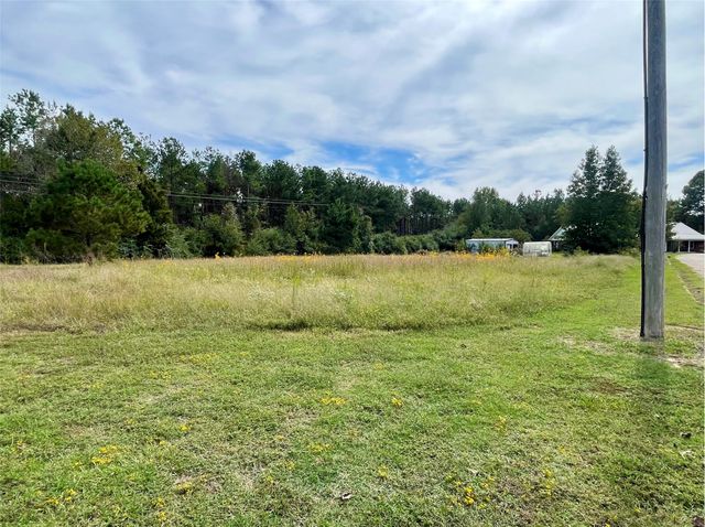 Lot 29 Twin Springs Trail, Omaha, TX 75571