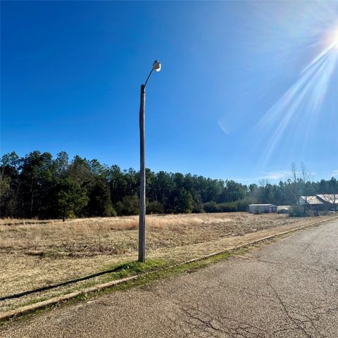 Lot 29 Twin Springs Trail, Omaha, TX 75571