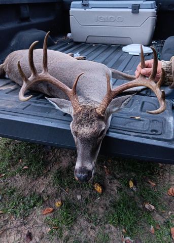 1820 South Old Smithville RD, Flatonia, TX 78941