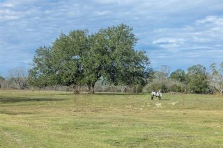 1820 South Old Smithville RD, Flatonia, TX 78941