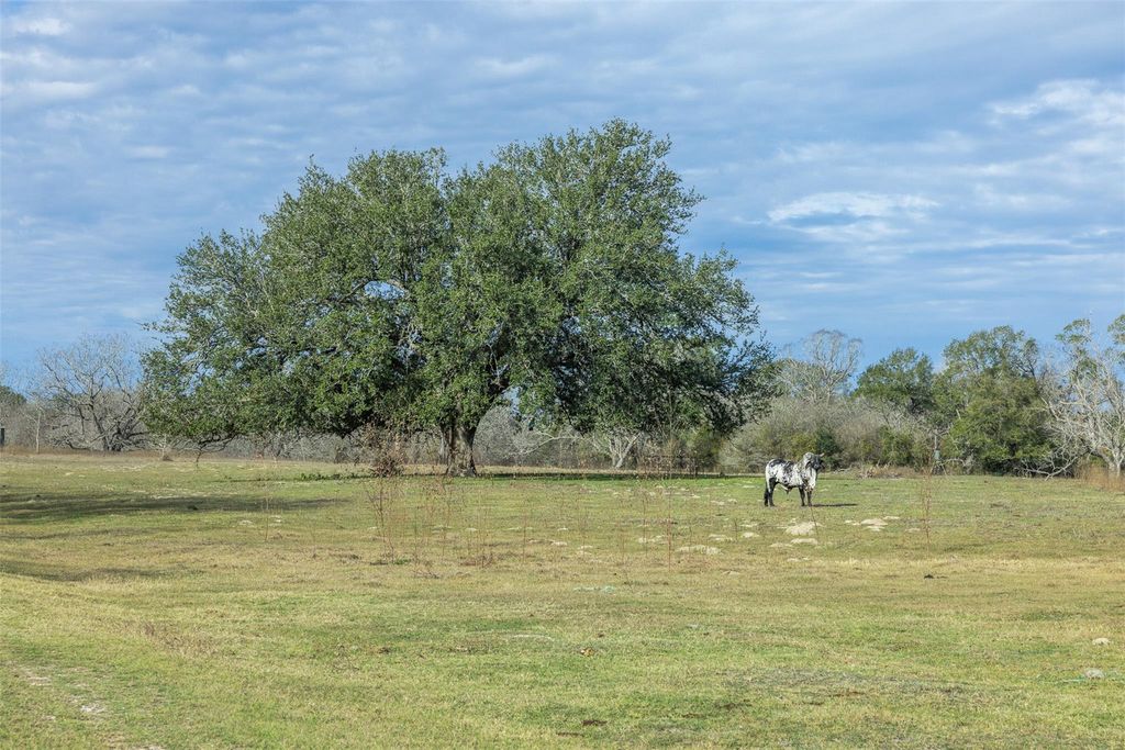 1820 South Old Smithville RD, Flatonia, TX 78941