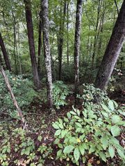 0 Little Wolf Creek Road, Murphy, NC 28906