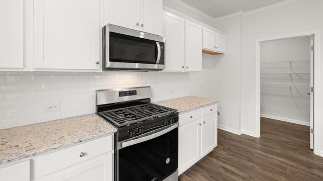 115 Cyrilla Walk, Dallas, GA 30132