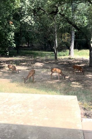 213 Glenhaven Drive, Azle, TX 76020