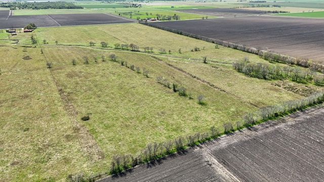 4439 Schultz Road, Damon, TX 77430