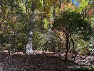 1530 Hickory Acres Road, Hendersonville, NC 28792