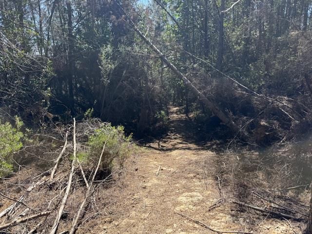 790040 Croy Road, Morgan Hill, CA 95037