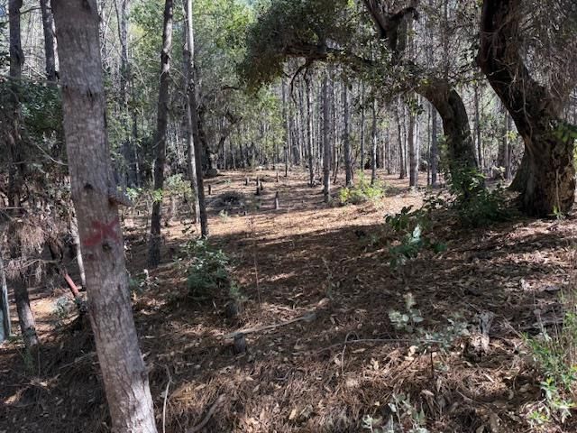 790040 Croy Road, Morgan Hill, CA 95037