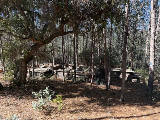 790040 Croy Road, Morgan Hill, CA 95037