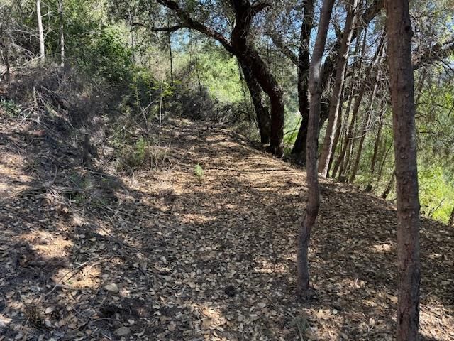 790040 Croy Road, Morgan Hill, CA 95037