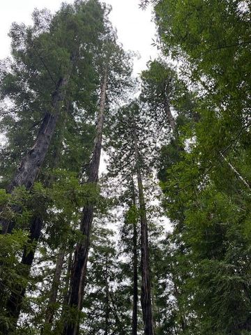 790040 Croy Road, Morgan Hill, CA 95037