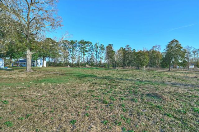 91 Quiet Springs Trail, Willis, TX 77378