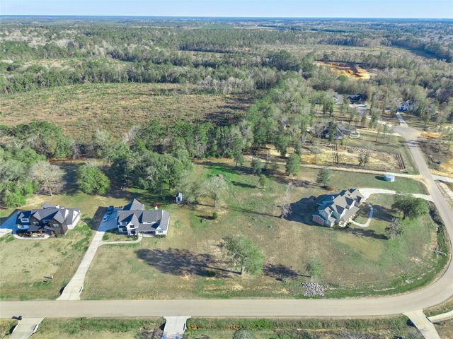 91 Quiet Springs Trail, Willis, TX 77378