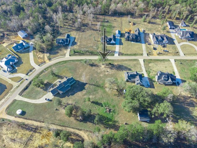 91 Quiet Springs Trail, Willis, TX 77378