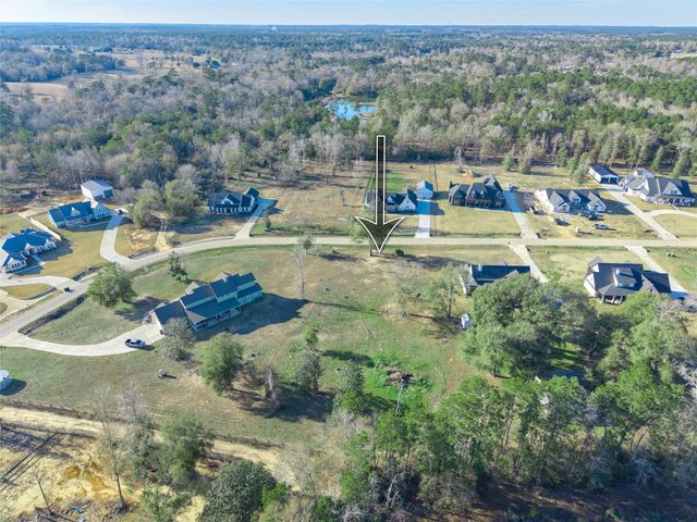 91 Quiet Springs Trail, Willis, TX 77378