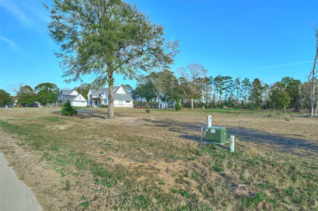 91 Quiet Springs Trail, Willis, TX 77378