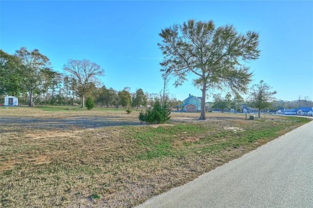 91 Quiet Springs Trail, Willis, TX 77378