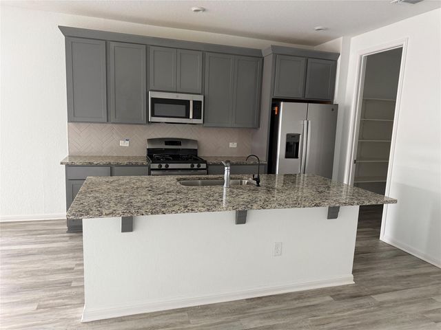 20603 Phebe Foster ST, Manor, TX 78653