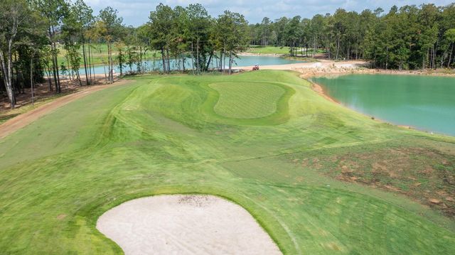 7626 Tall Trees Grove Lane, Porter, TX 77365