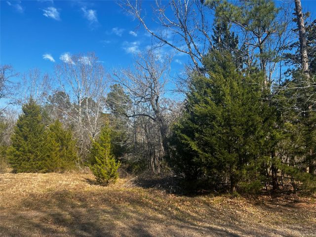 731 N Forest Cove Loop, Coldspring, TX 77331