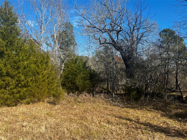 731 N Forest Cove Loop, Coldspring, TX 77331