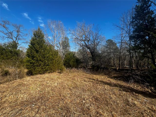 731 N Forest Cove Loop, Coldspring, TX 77331