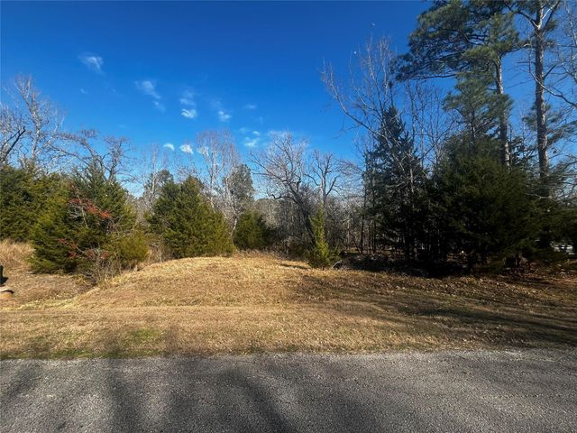 731 N Forest Cove Loop, Coldspring, TX 77331