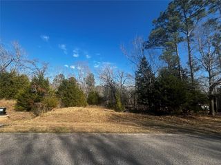 731 N Forest Cove Loop, Coldspring, TX 77331