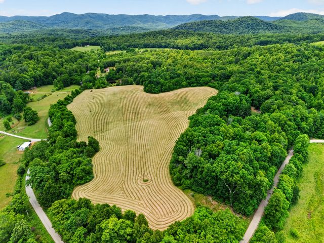 317 Beards Creek RD, Ferrum, VA 24088