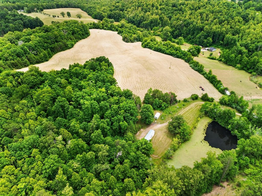 317 Beards Creek RD, Ferrum, VA 24088