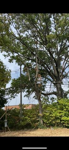 2574 Renwood Place, Columbus, OH 43211